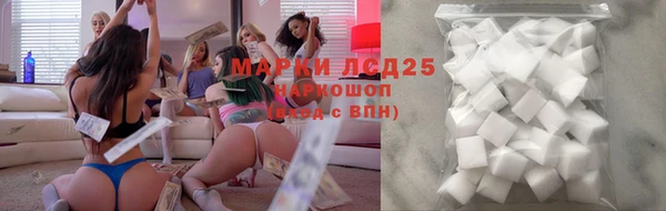 прущие грибы Абдулино