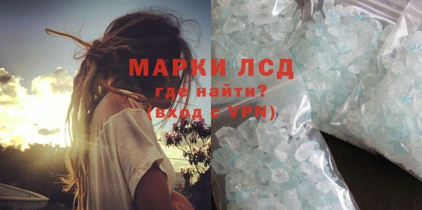 прущие грибы Абдулино