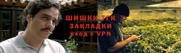 прущие грибы Абдулино