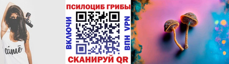 Галлюциногенные грибы GOLDEN TEACHER KRAKEN рабочий сайт Западная Двина